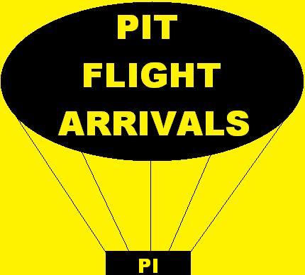 TERRORISM FOR DUMMIES IN PITTSBURGH PENNSYLVANIA...THE PITTBIRD EXPRESS